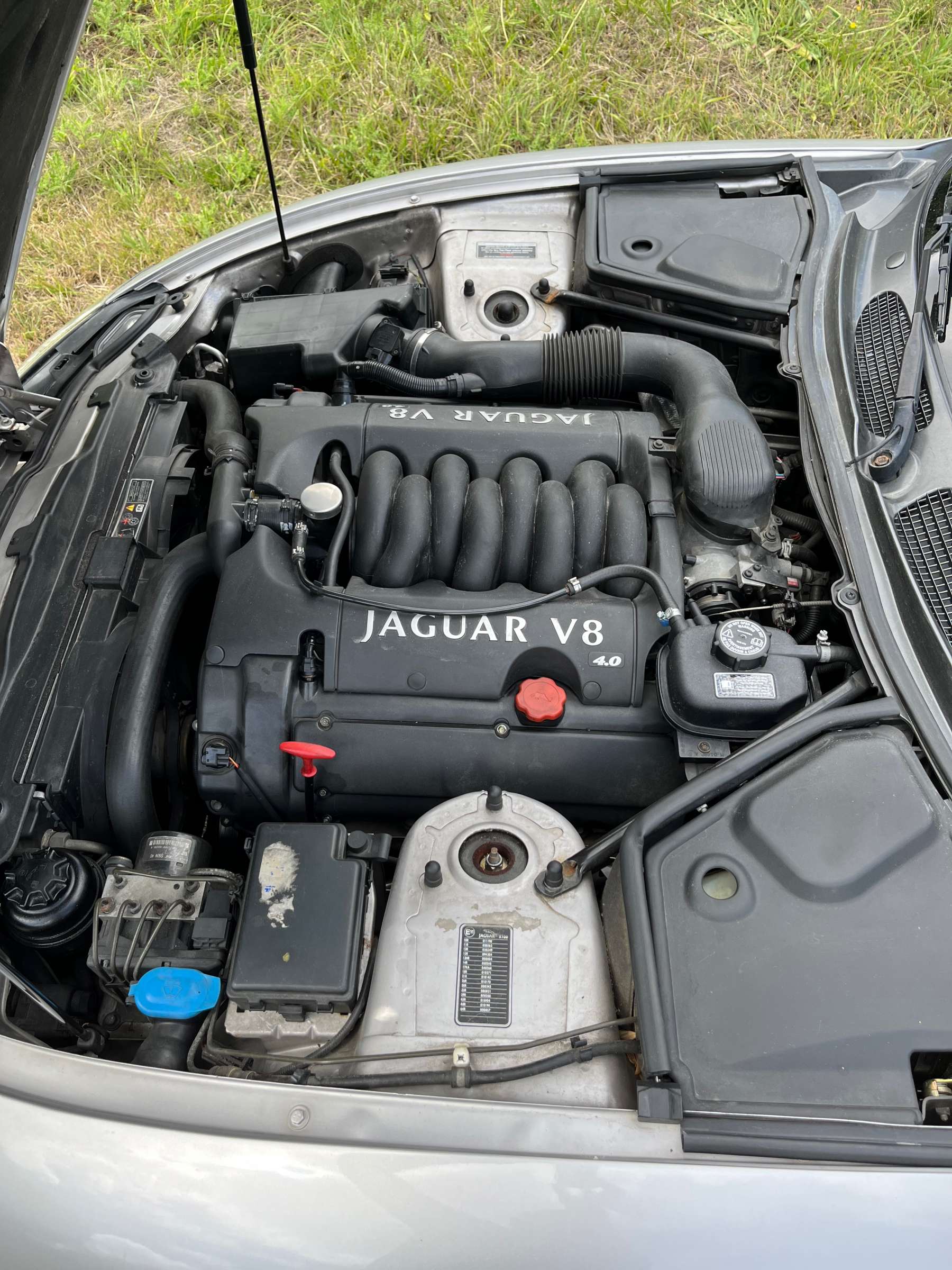 Jaguar XK 8