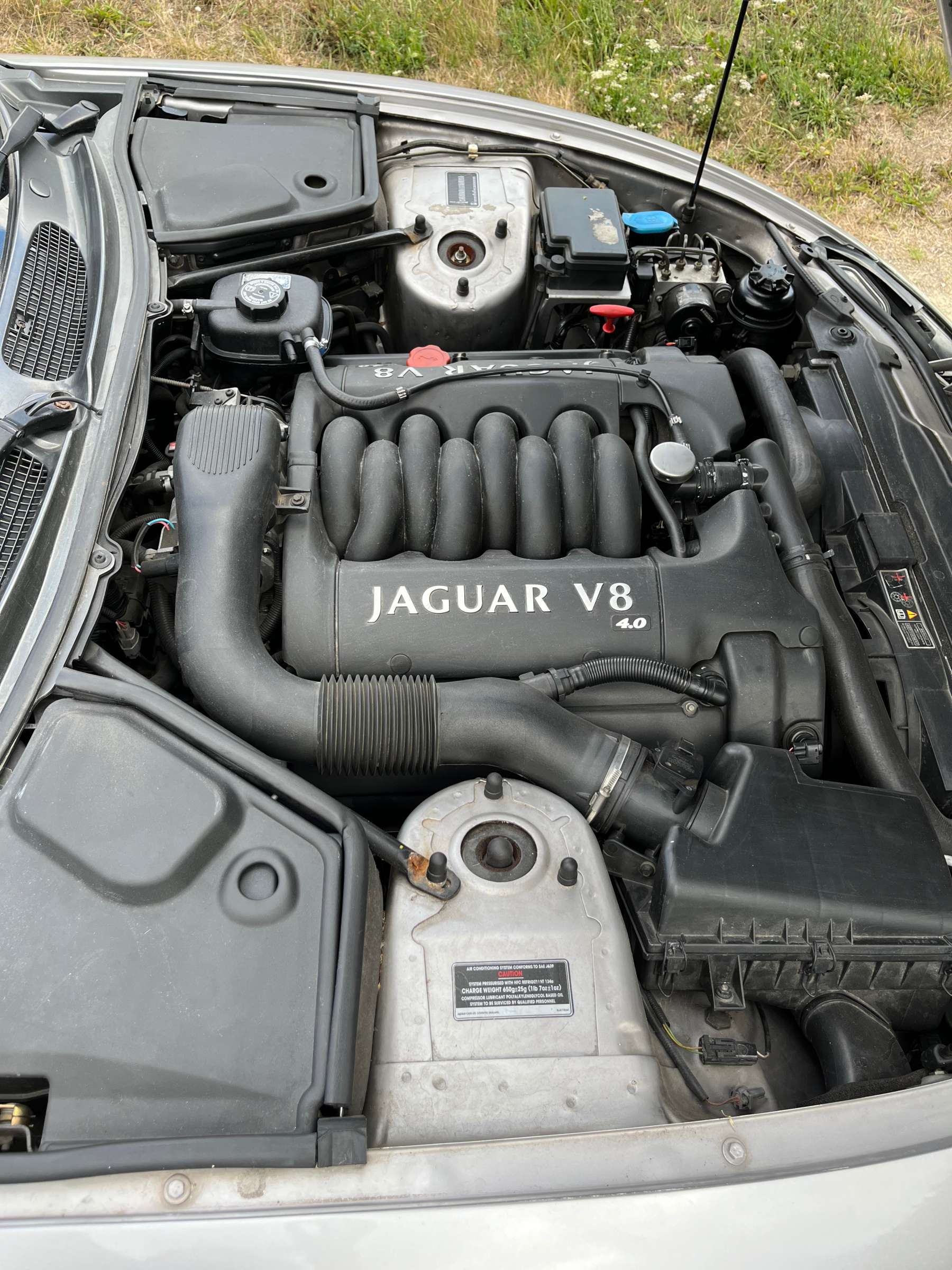 Jaguar XK 8